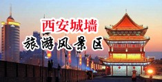 靠逼粉穴视频中国陕西-西安城墙旅游风景区