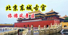 风骚伪娘露出自慰喷精中国北京-东城古宫旅游风景区