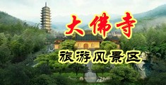 美女被我操了91视频中国浙江-新昌大佛寺旅游风景区